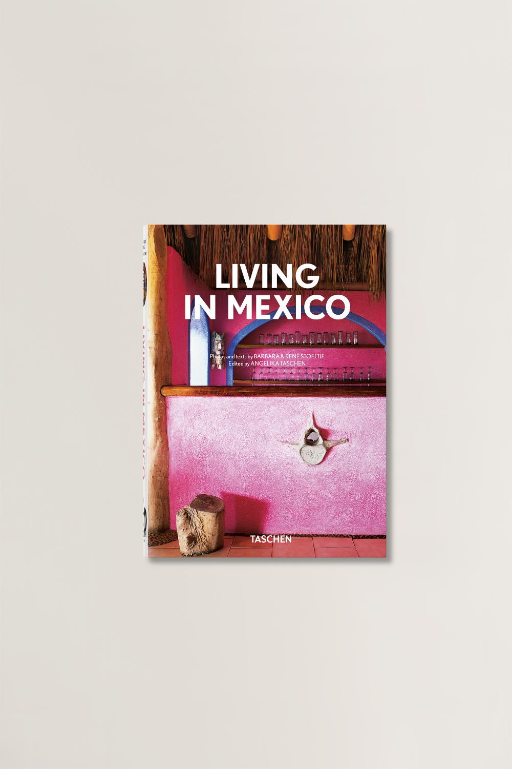 Living In Mexico