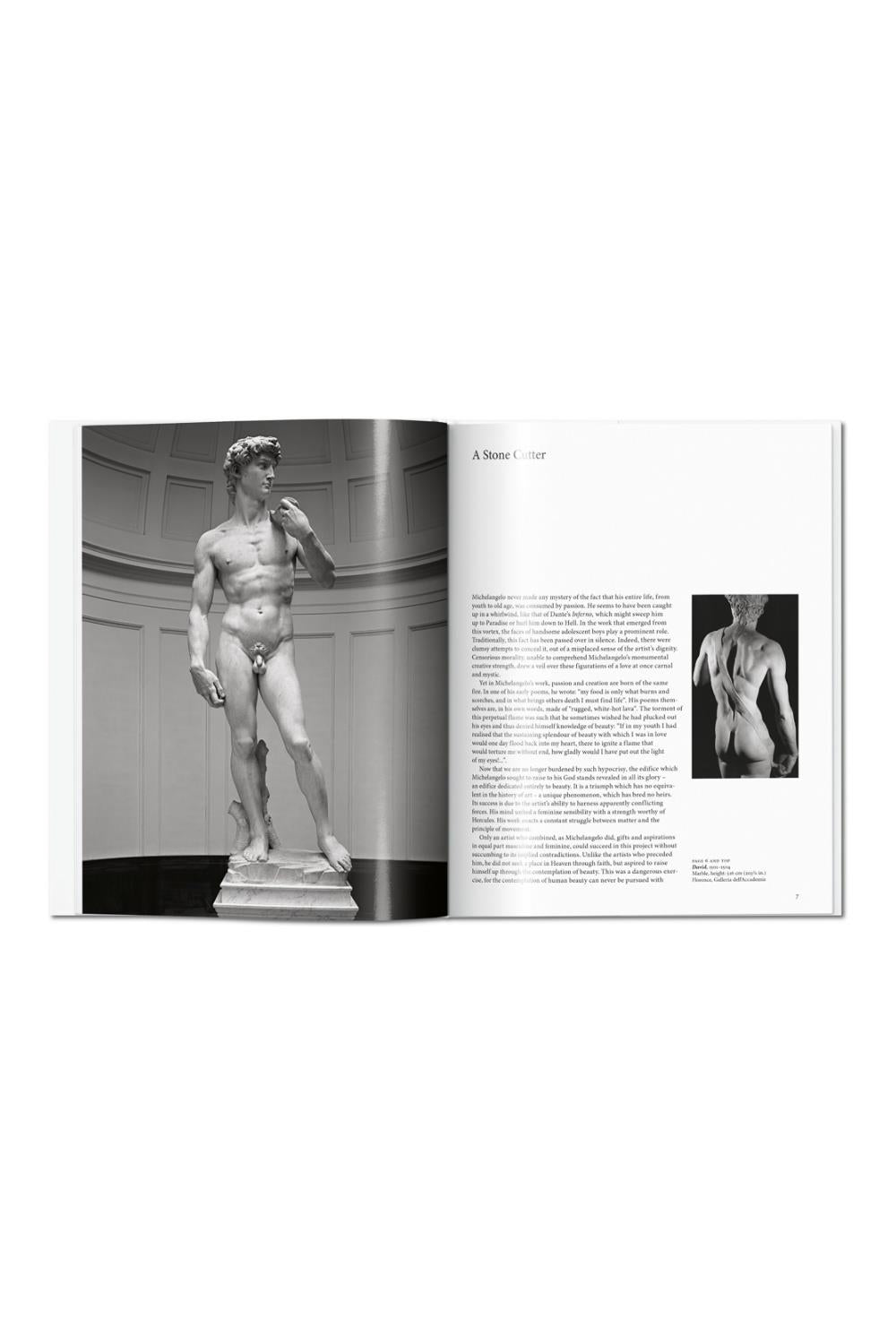 Michelangelo
