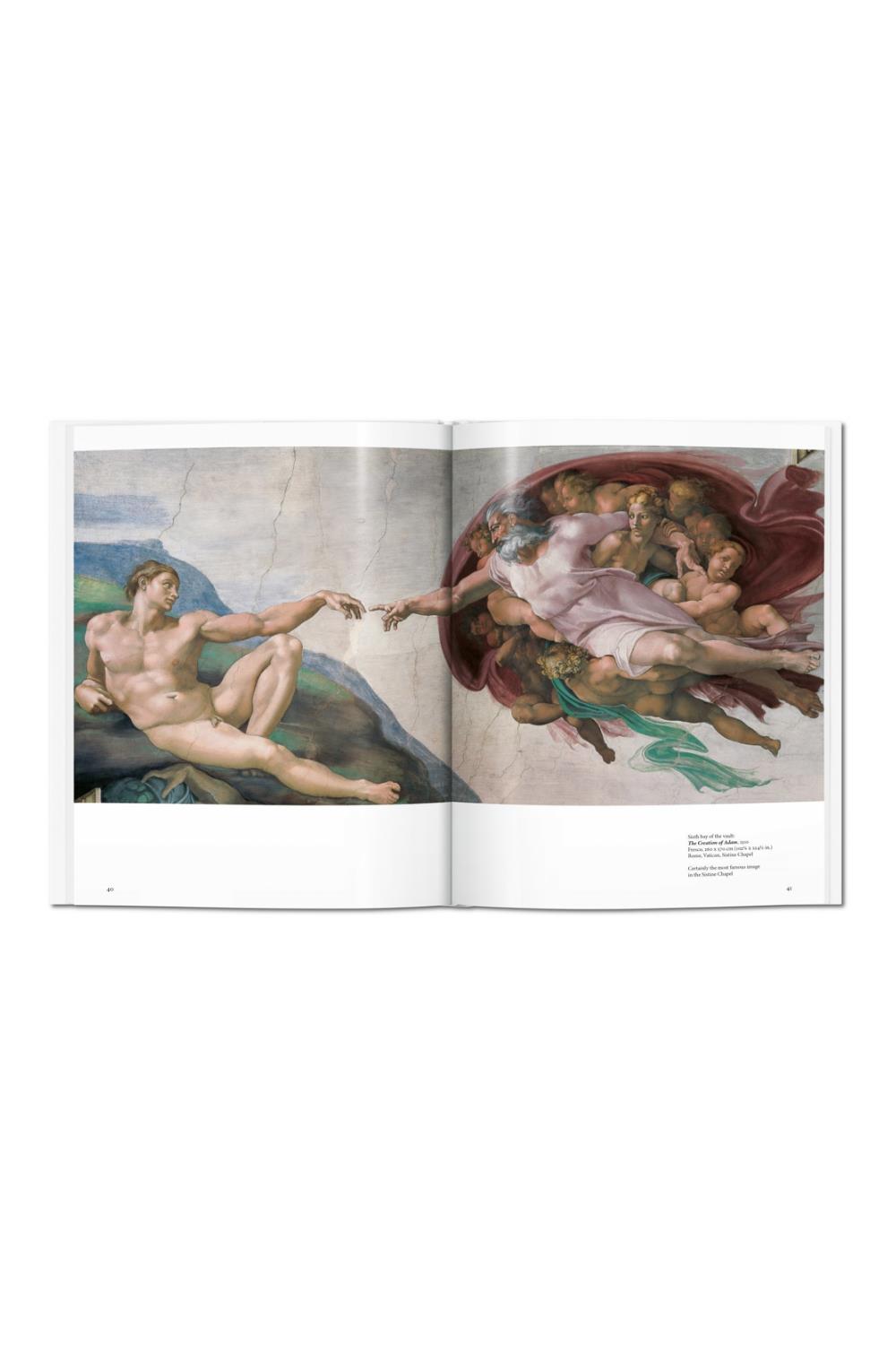 Michelangelo