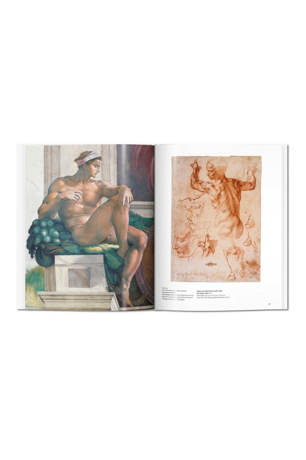 Michelangelo